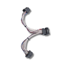 18-Way FMS Y Lead – DAF XG (Plug & Play)