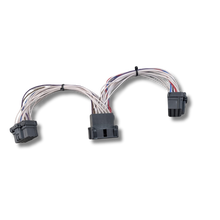 18-Way FMS Y Lead – DAF XG (Plug & Play)