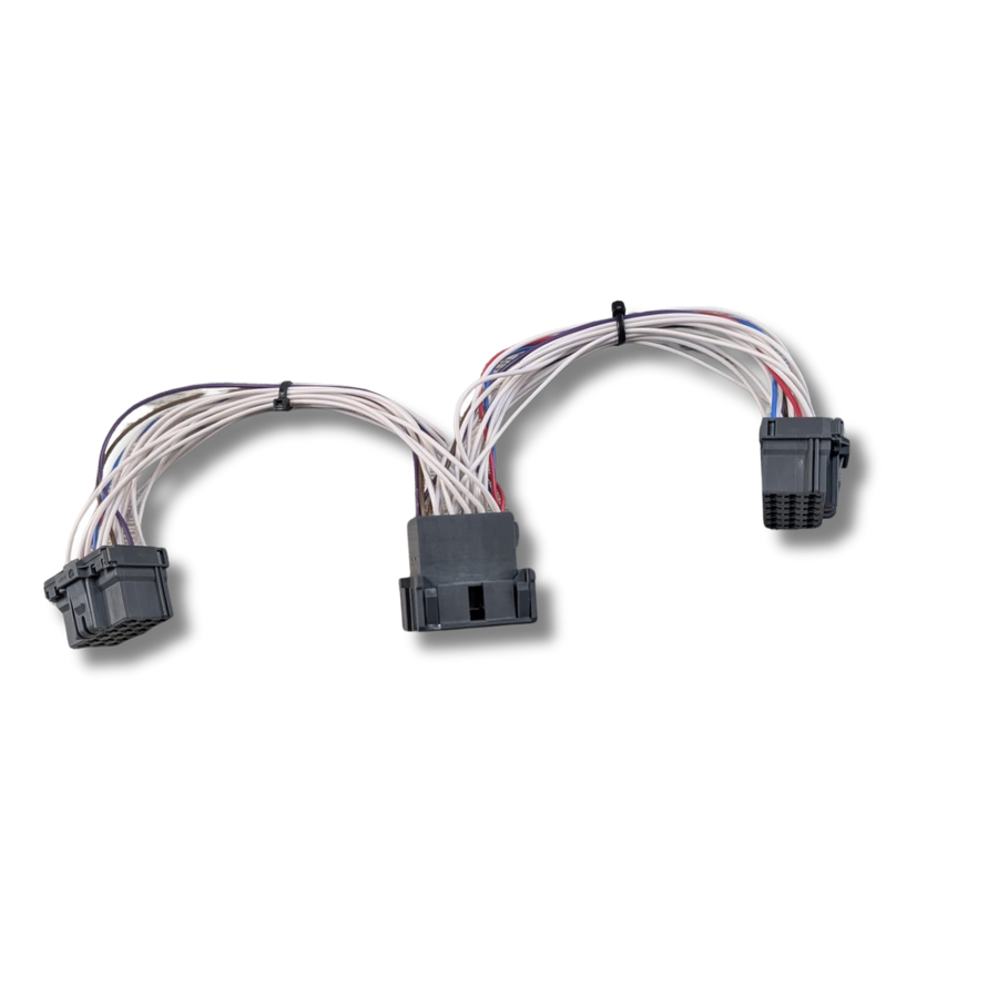 18-Way FMS Y Lead – DAF XG (Plug & Play)